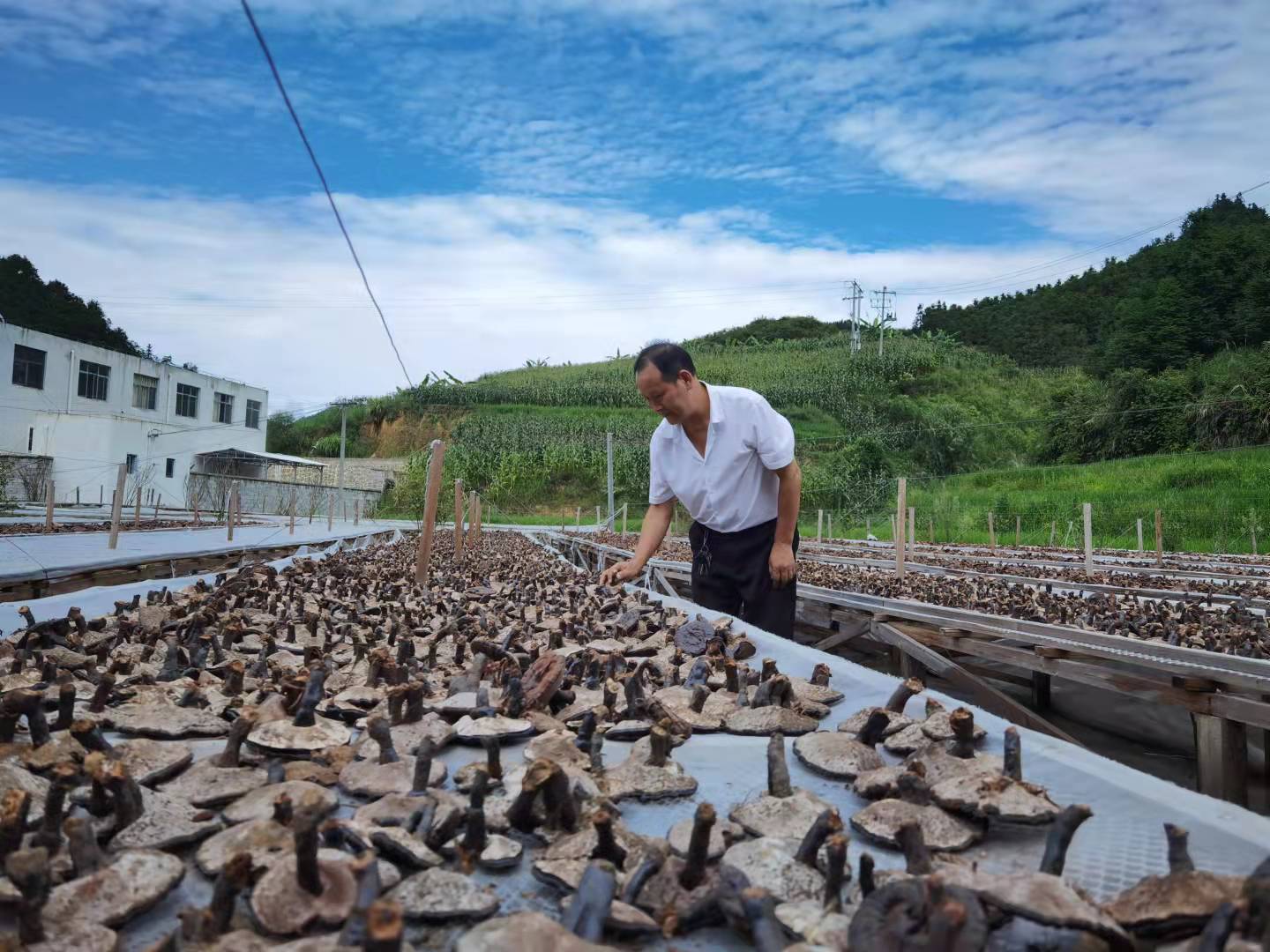 藏在日常里的“贵州科技养生”！贵州中科分子让道地本草走进千万家庭