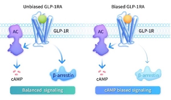 全球首个偏向型GLP-1埃诺格鲁肽注射液获批