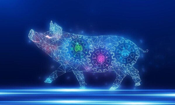 勃林格发布关键猪病免疫无疫防控策略，赋能生产效能，助力养殖户最大化效益